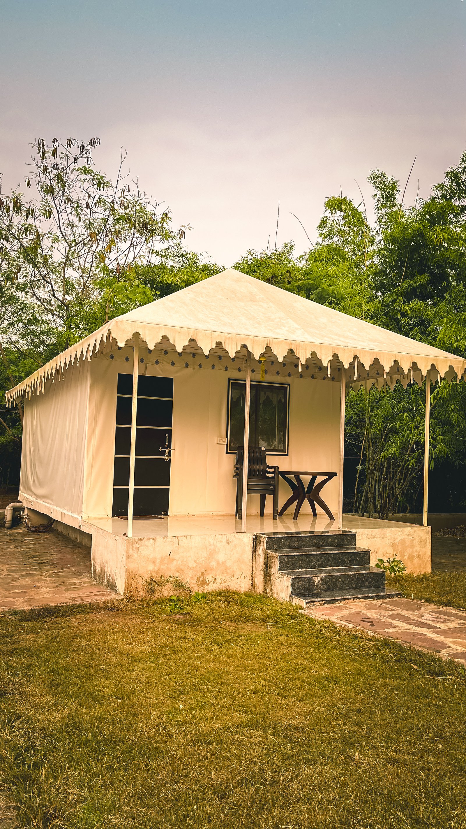 Colorful bird perched