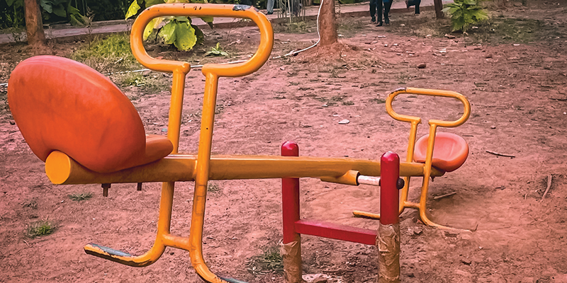 Tree swings hanging from sturdy branches