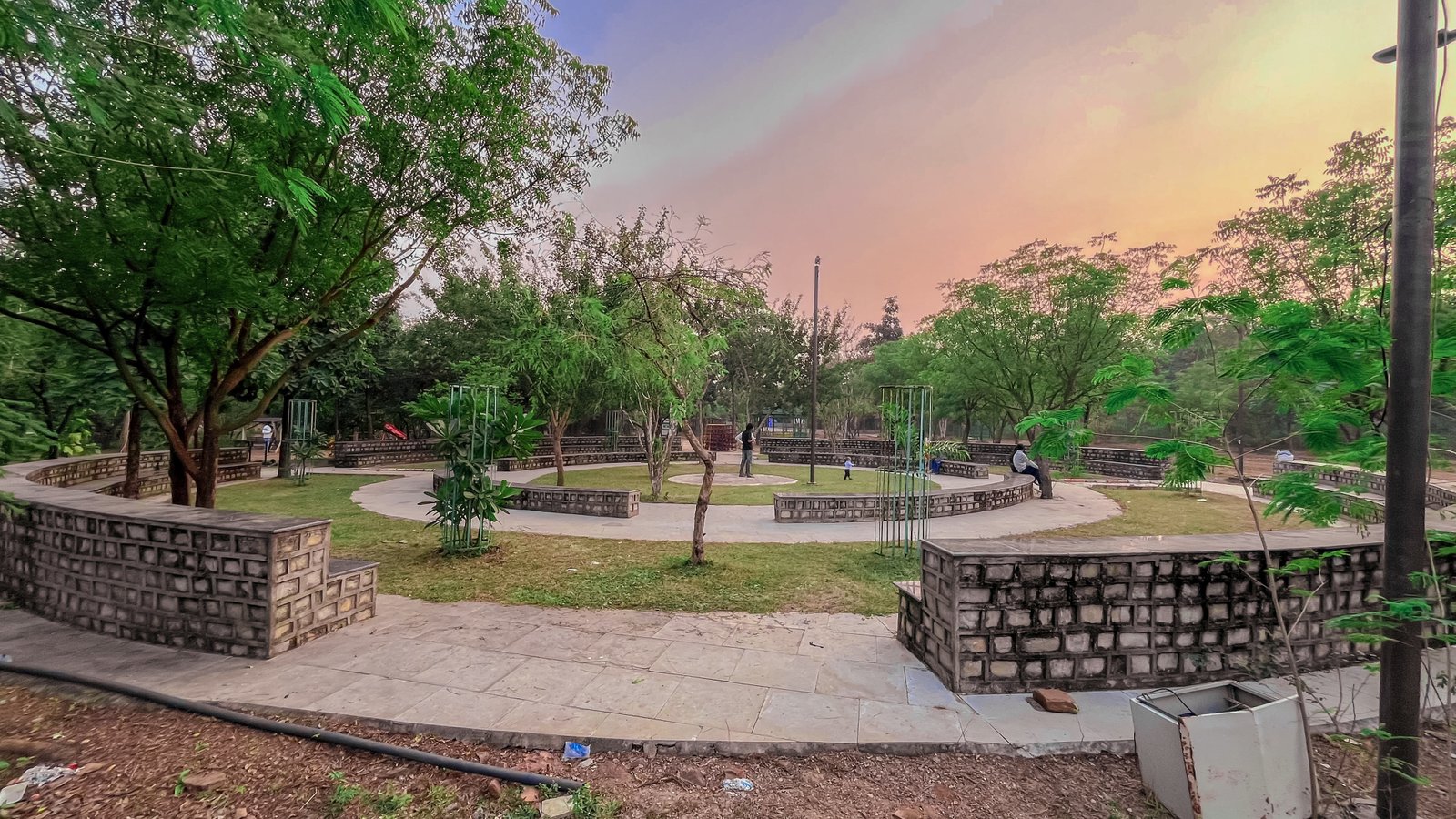 Butterfly on wildflower