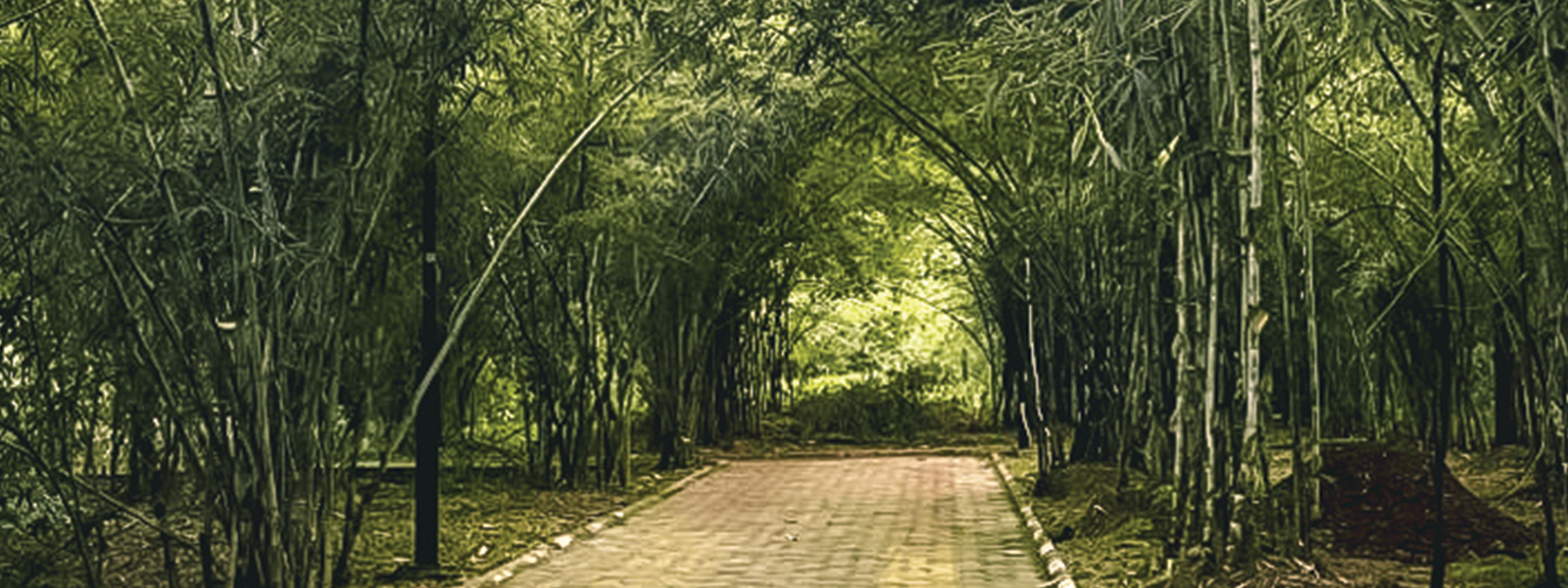 Sunrise over walkway